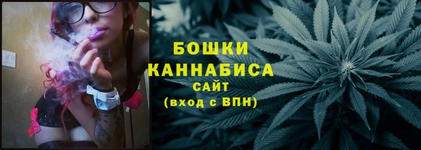 ГАЛЛЮЦИНОГЕННЫЕ ГРИБЫ Рославль